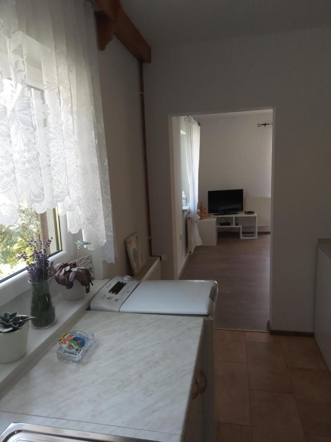 בוהינסקה ביסטריצה Apartment With A View מראה חיצוני תמונה