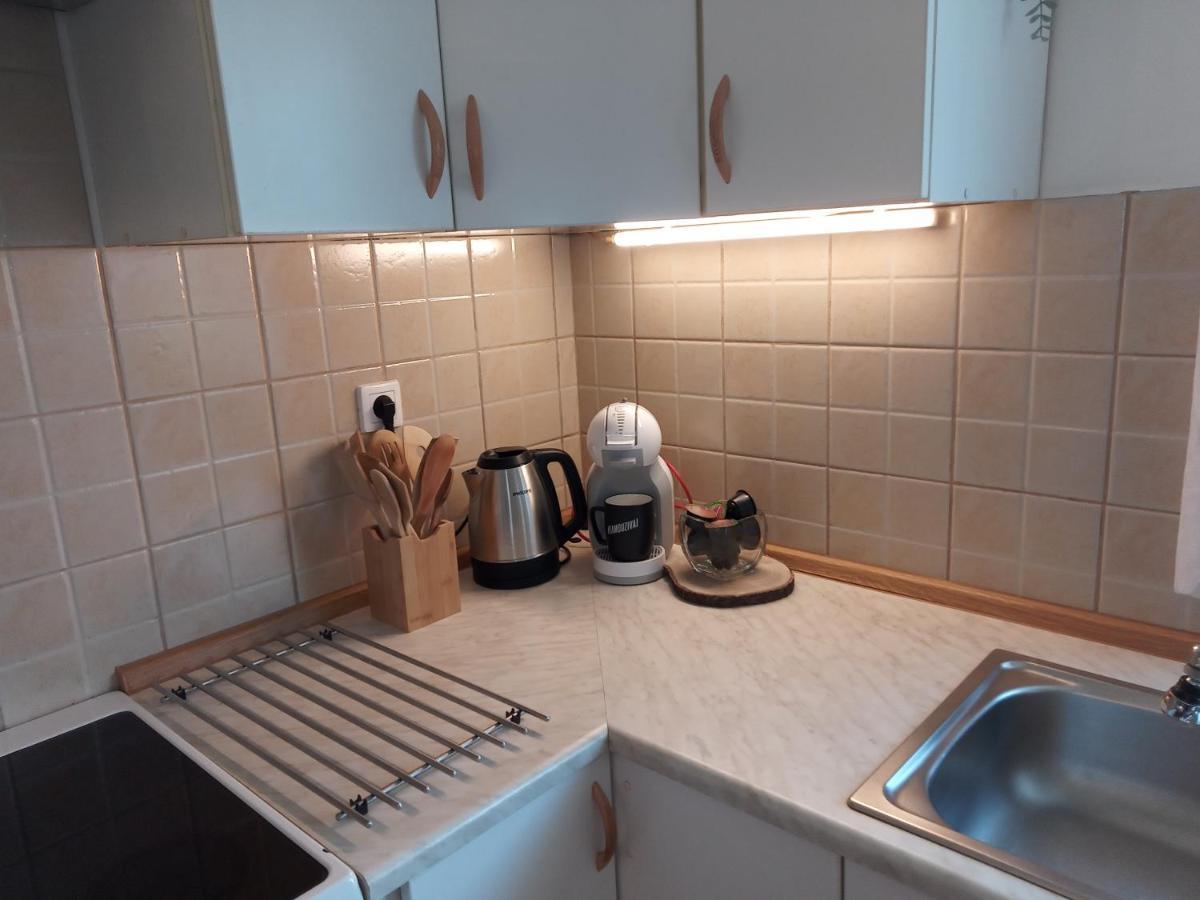 בוהינסקה ביסטריצה Apartment With A View מראה חיצוני תמונה